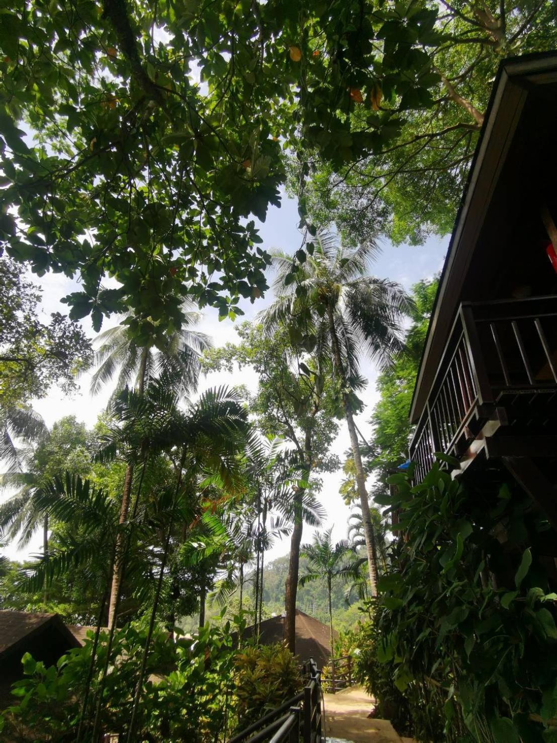 Baan Krating Khao Lak Resort - Sha Plus Екстер'єр фото
