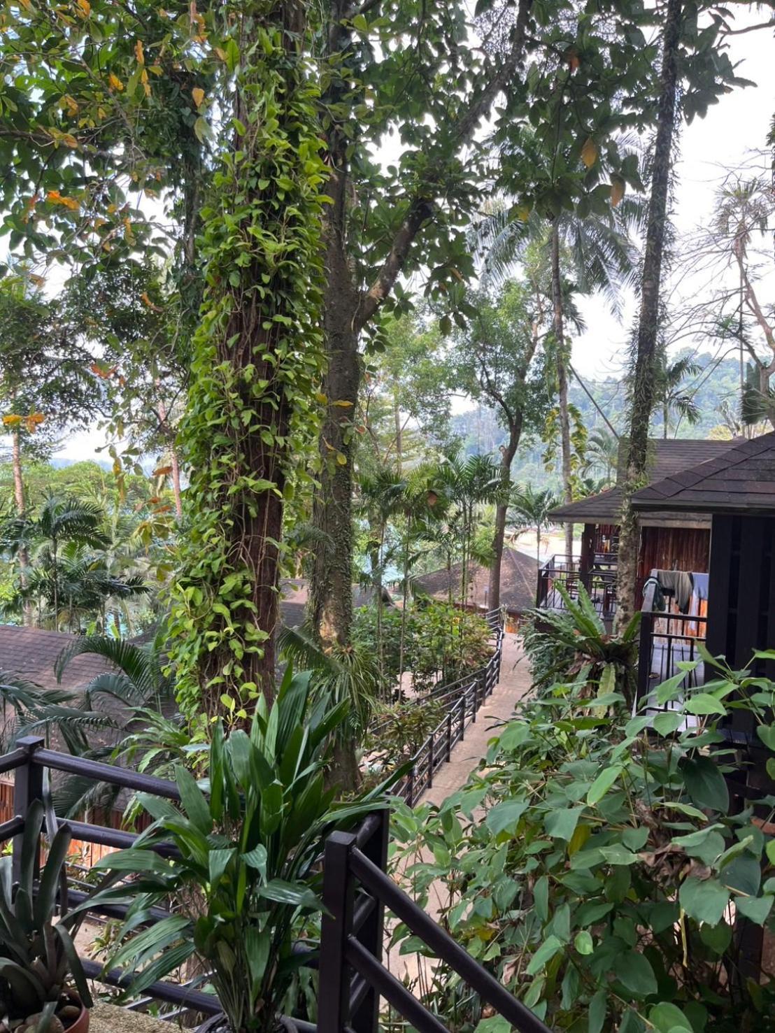 Baan Krating Khao Lak Resort - Sha Plus Екстер'єр фото